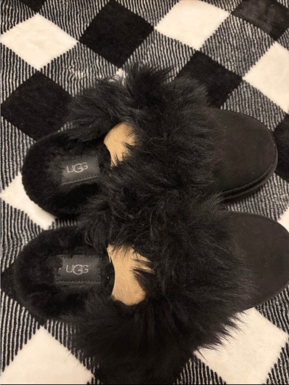 Women’s UGG DISQUETTE CHALET BNWOT
